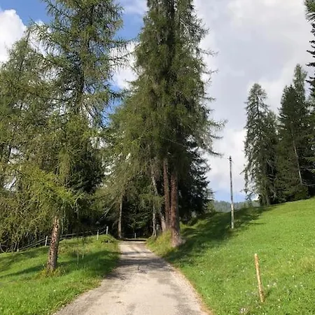 Appartamento Mansarda Alpina Pians *